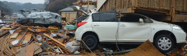 津波の到来前に倒壊した住宅も多いが、津波がクローズアップされた
